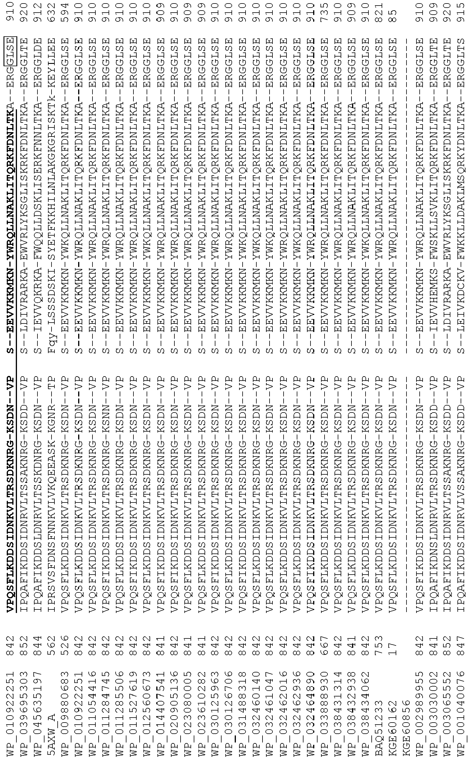 Figure imgb0337