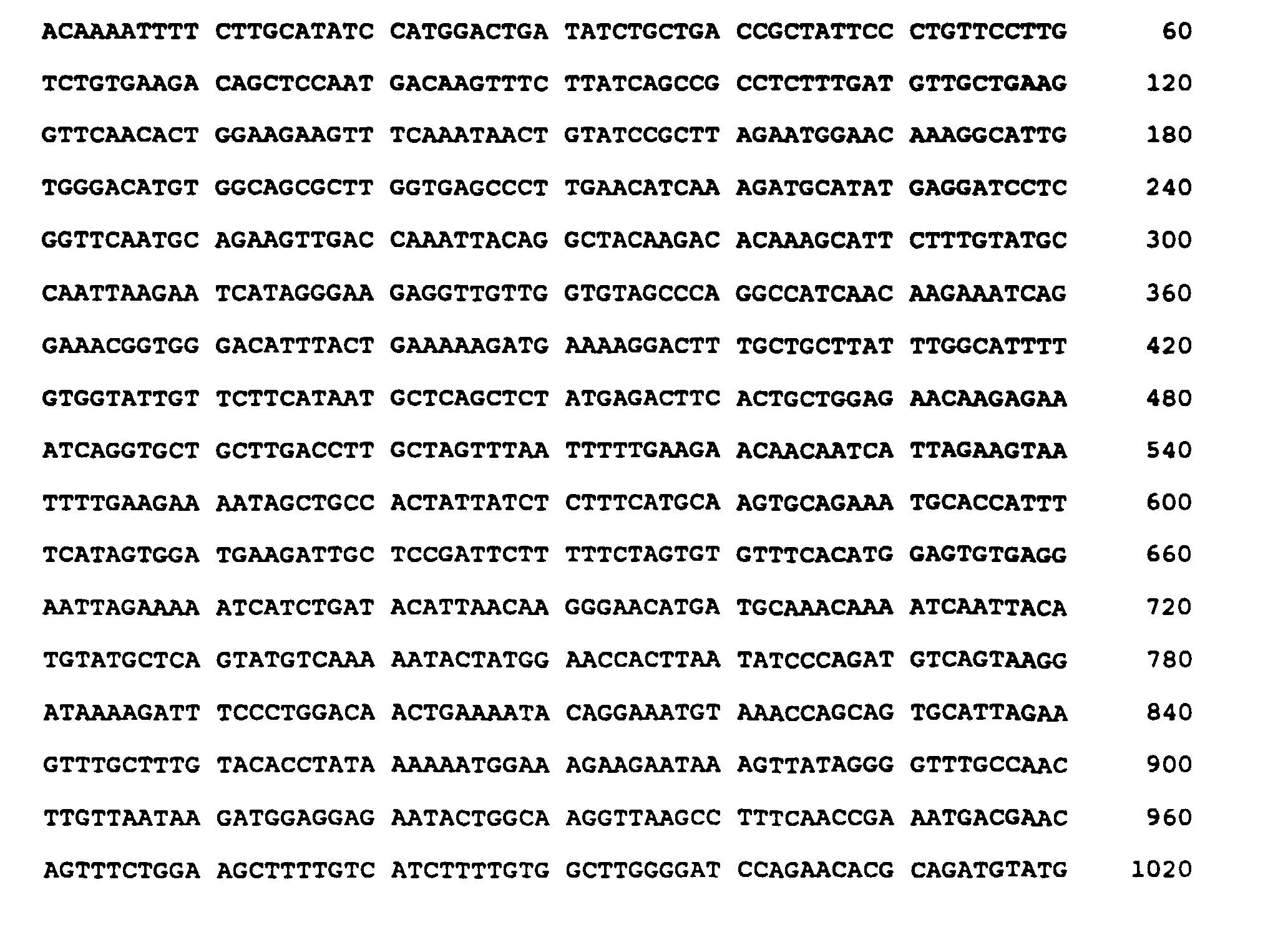 Figure 00500002