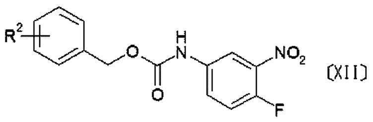 Figure JPOXMLDOC01-appb-C000023