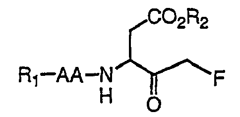 Figure imgb0002