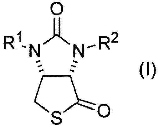 Figure imgb0011