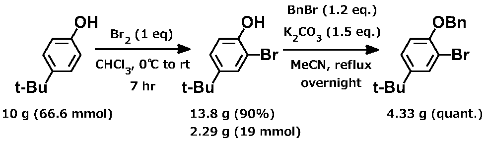 Figure JPOXMLDOC01-appb-C000033
