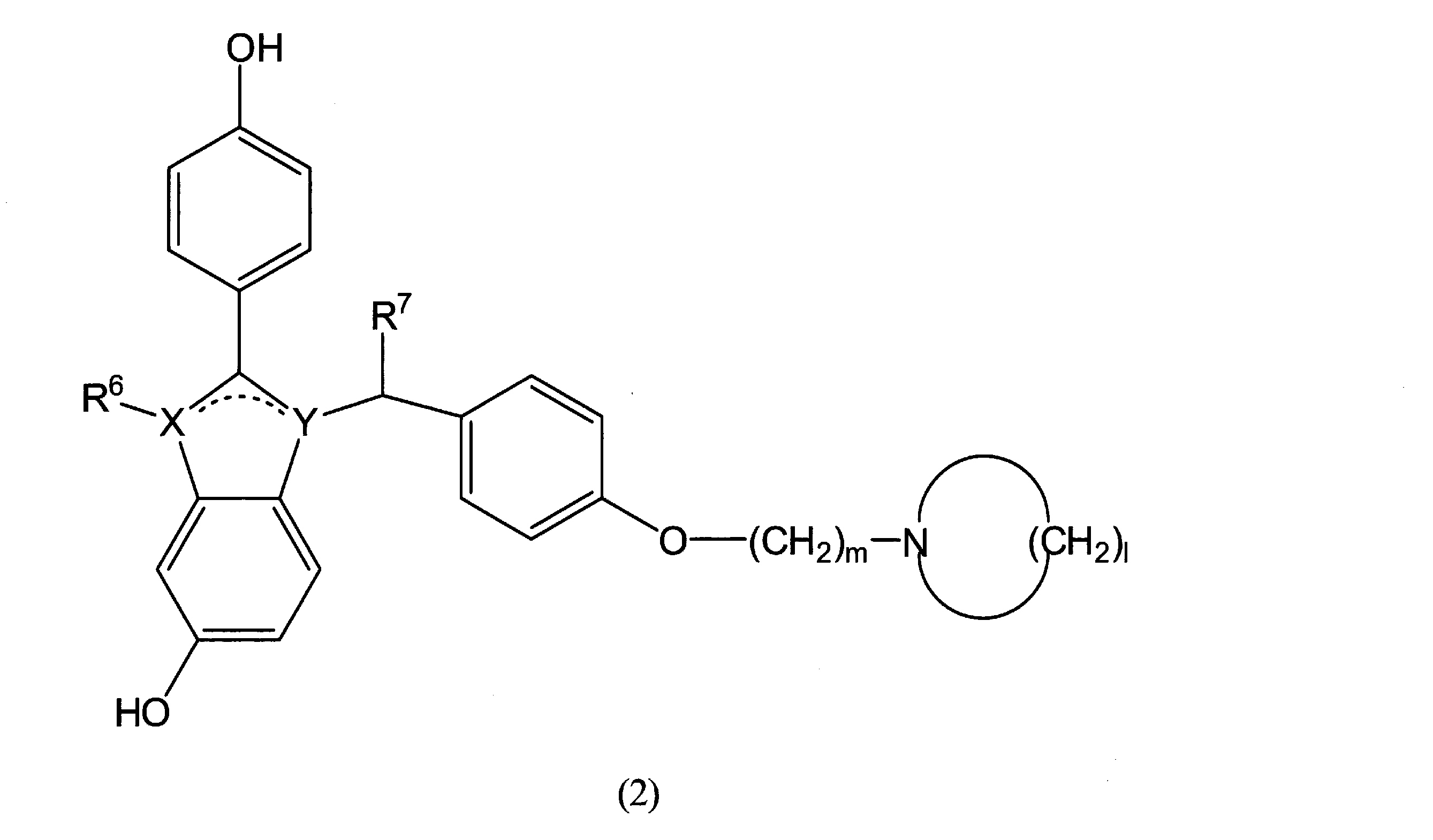 Figure JPOXMLDOC01-appb-C000010