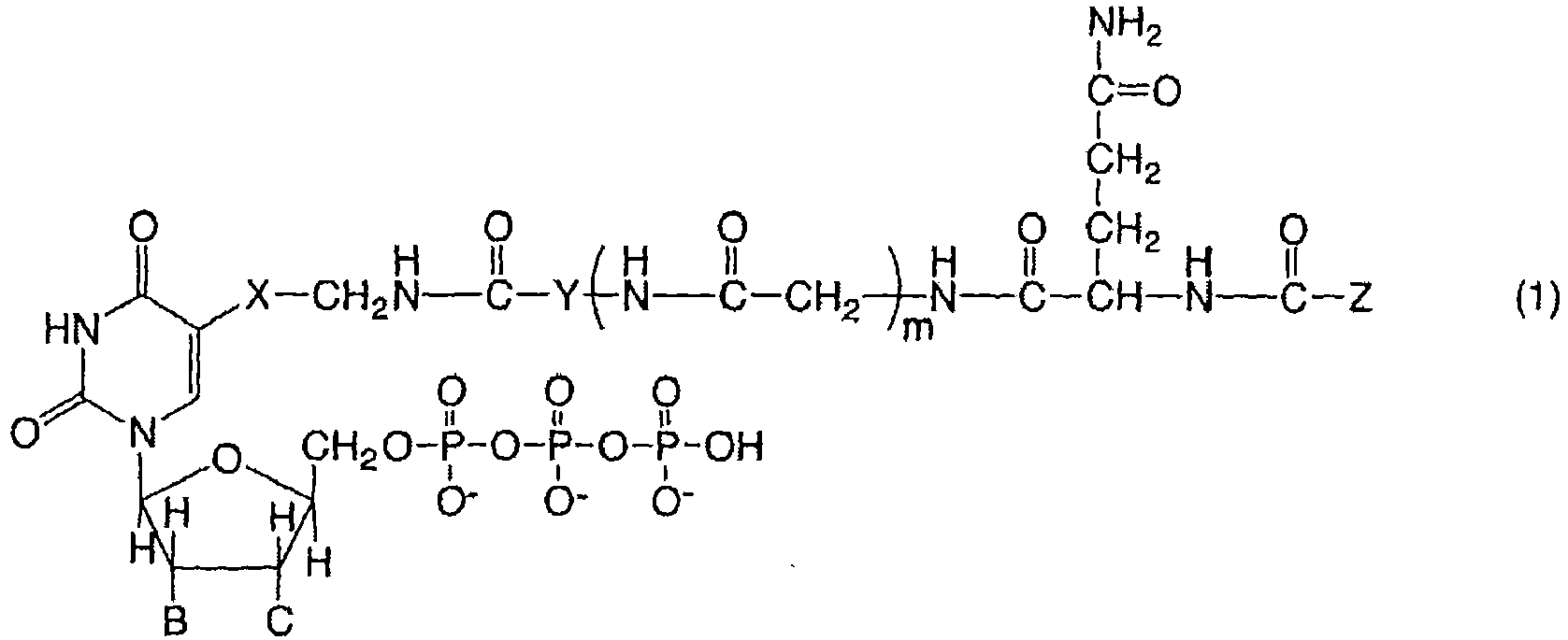 Figure imgb0001