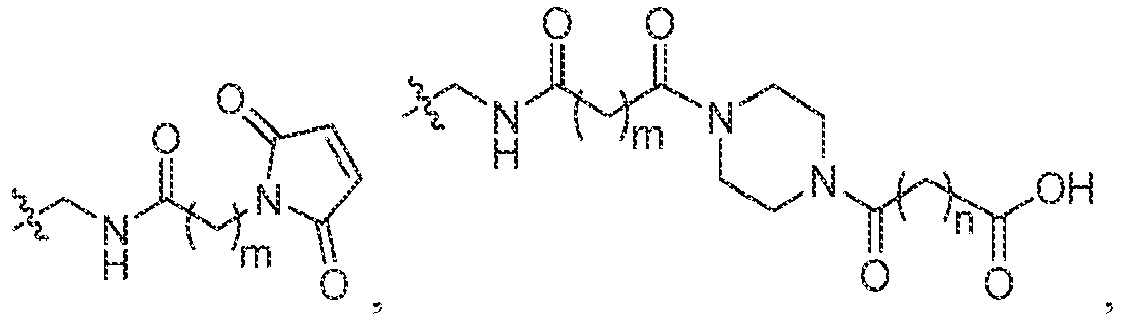 Figure imgb0046