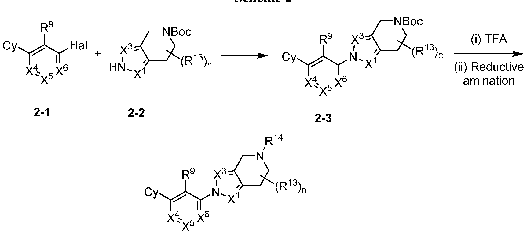 Figure imgf000031_0002