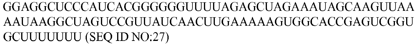 Figure imgb0024