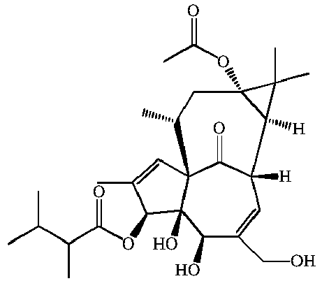 Figure imgb0117
