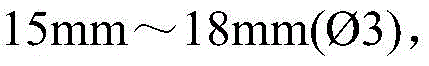 Figure DEST_PATH_GDA0002488907600000032