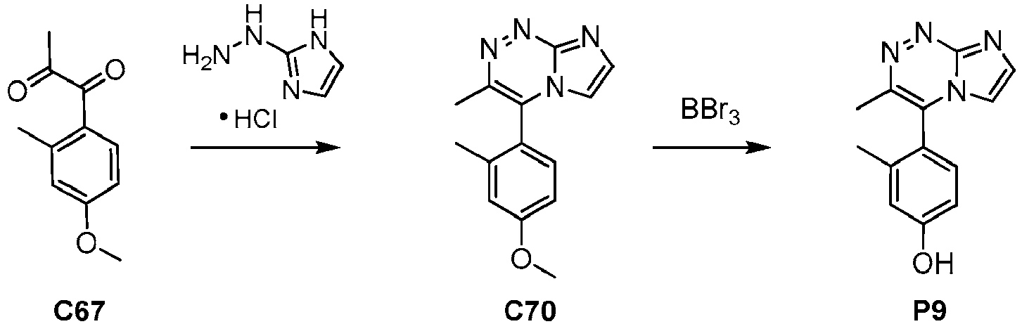 Figure imgb0101