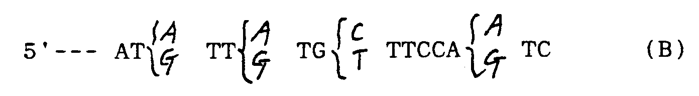 Figure imgb0018