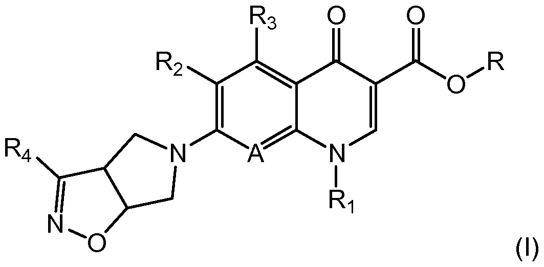 Figure imgf000006_0002