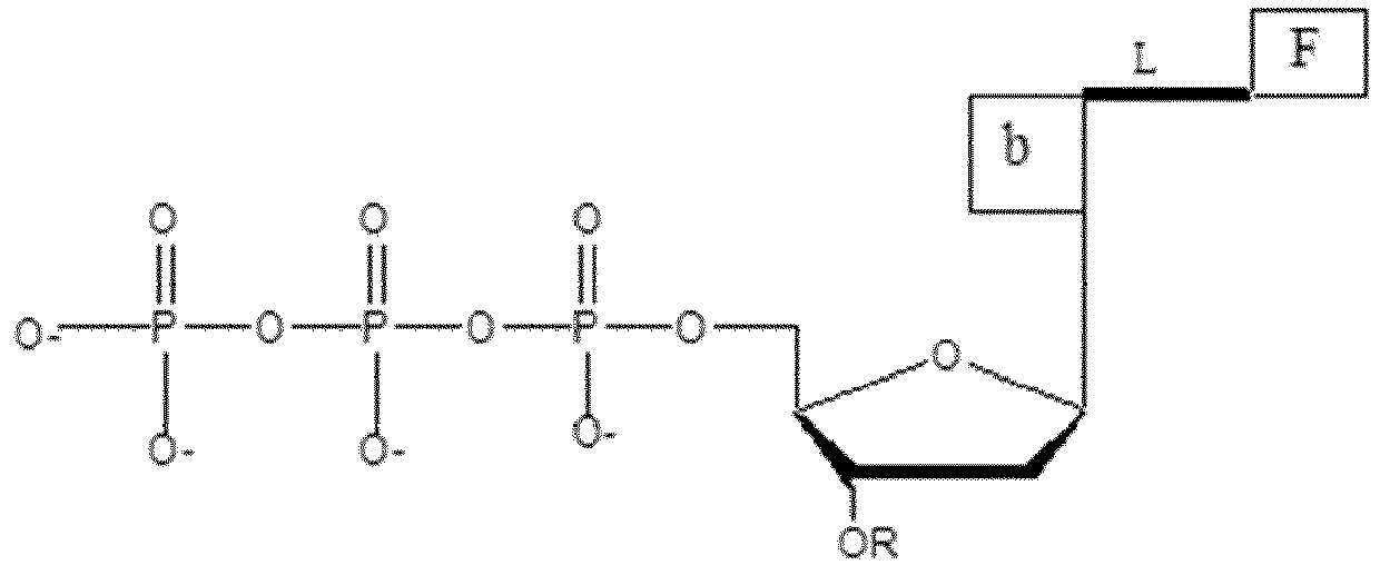 Figure imgb0124