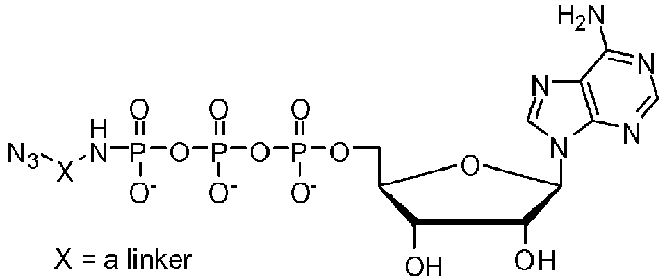 Figure imgb0036
