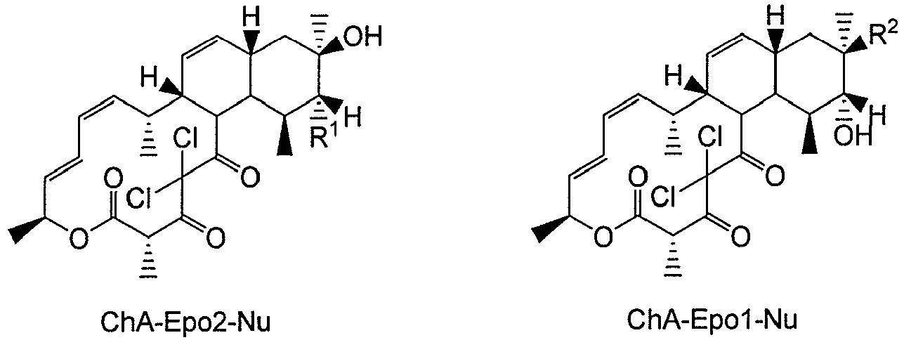 Figure imgb0010