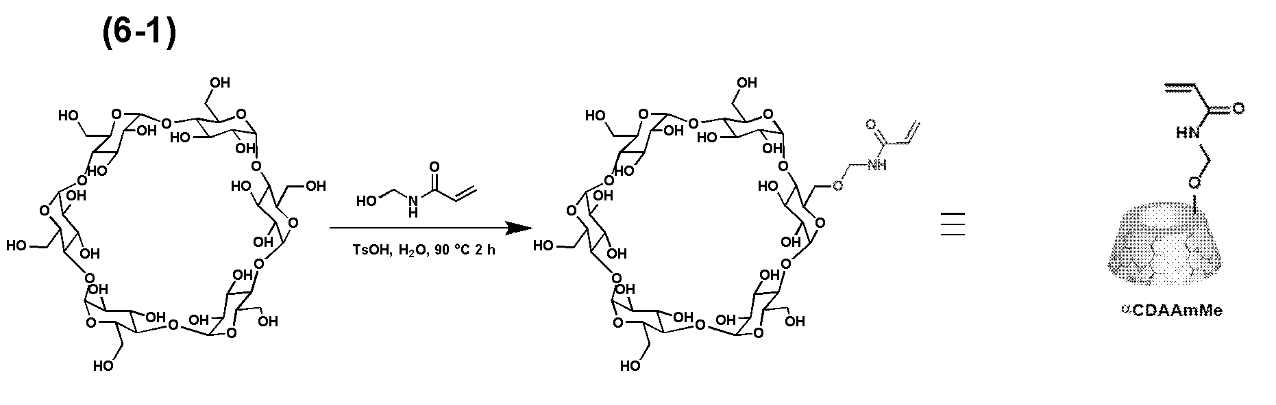 Figure JPOXMLDOC01-appb-C000029