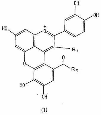 Figure JPOXMLDOC01-appb-C000007