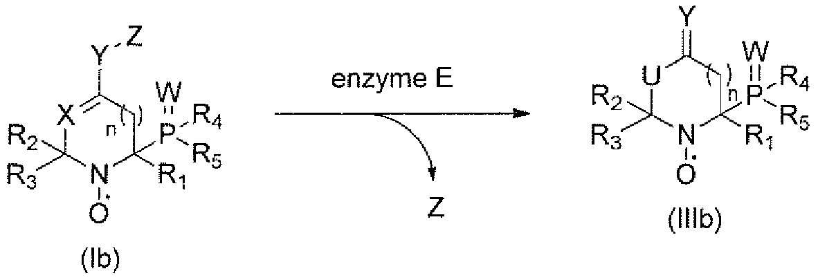 Figure imgf000010_0002