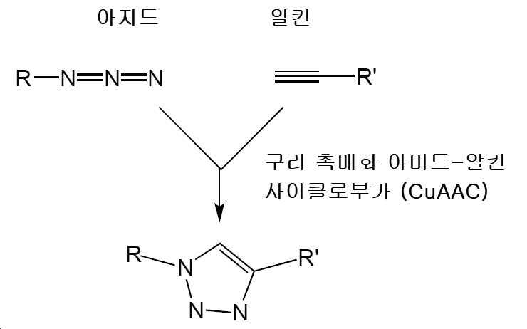 Figure pct00005