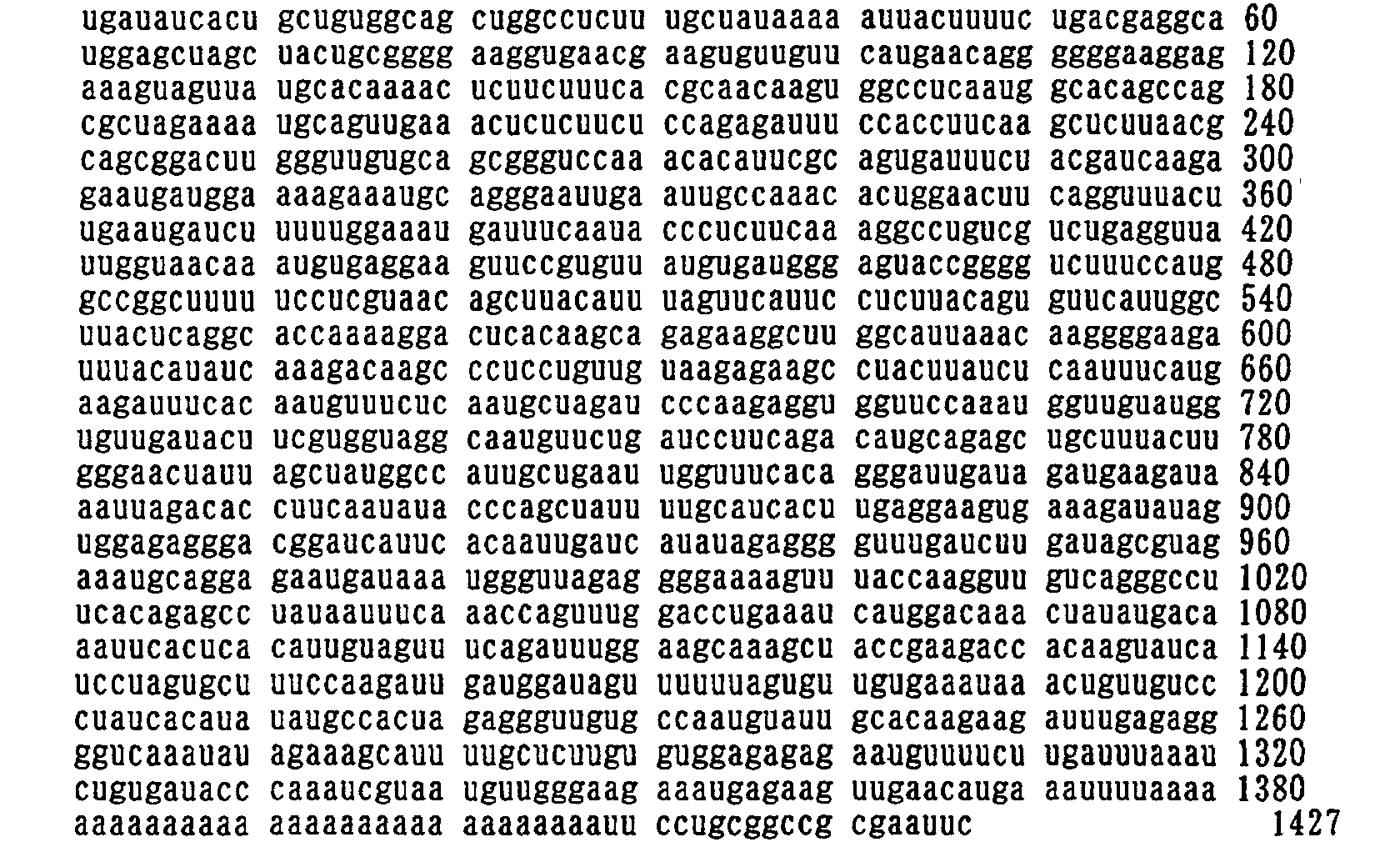 Figure 00470002
