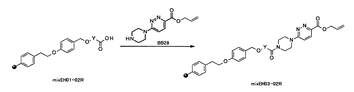Figure JPOXMLDOC01-appb-C000794