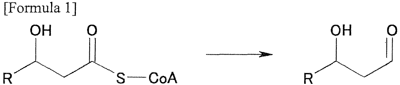 Figure imgb0013
