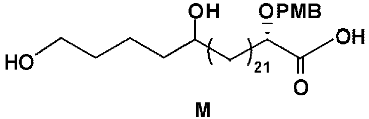Figure imgb0033