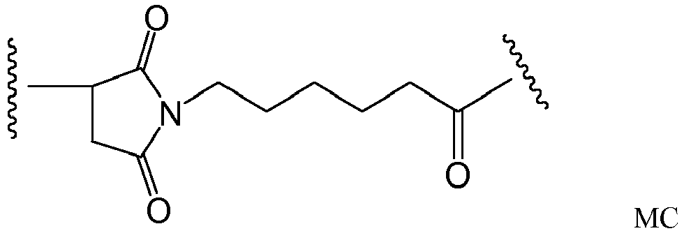 Figure imgb0019
