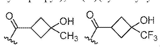 Figure imgf000456_0002