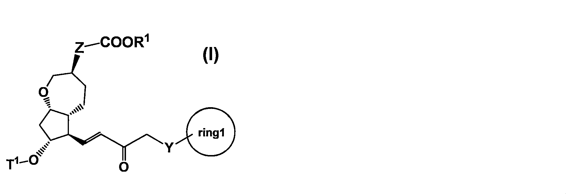 Figure JPOXMLDOC01-appb-C000040