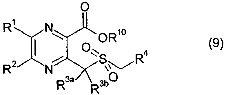 Figure imgb0004