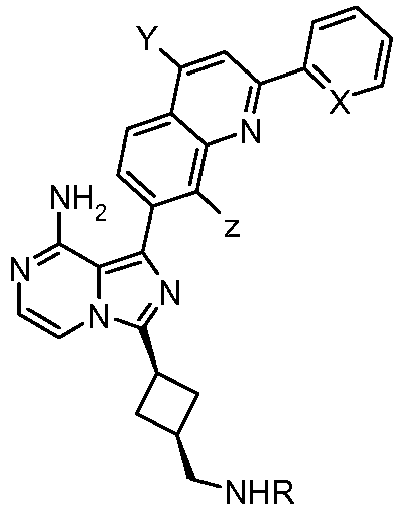 Figure imgb0673