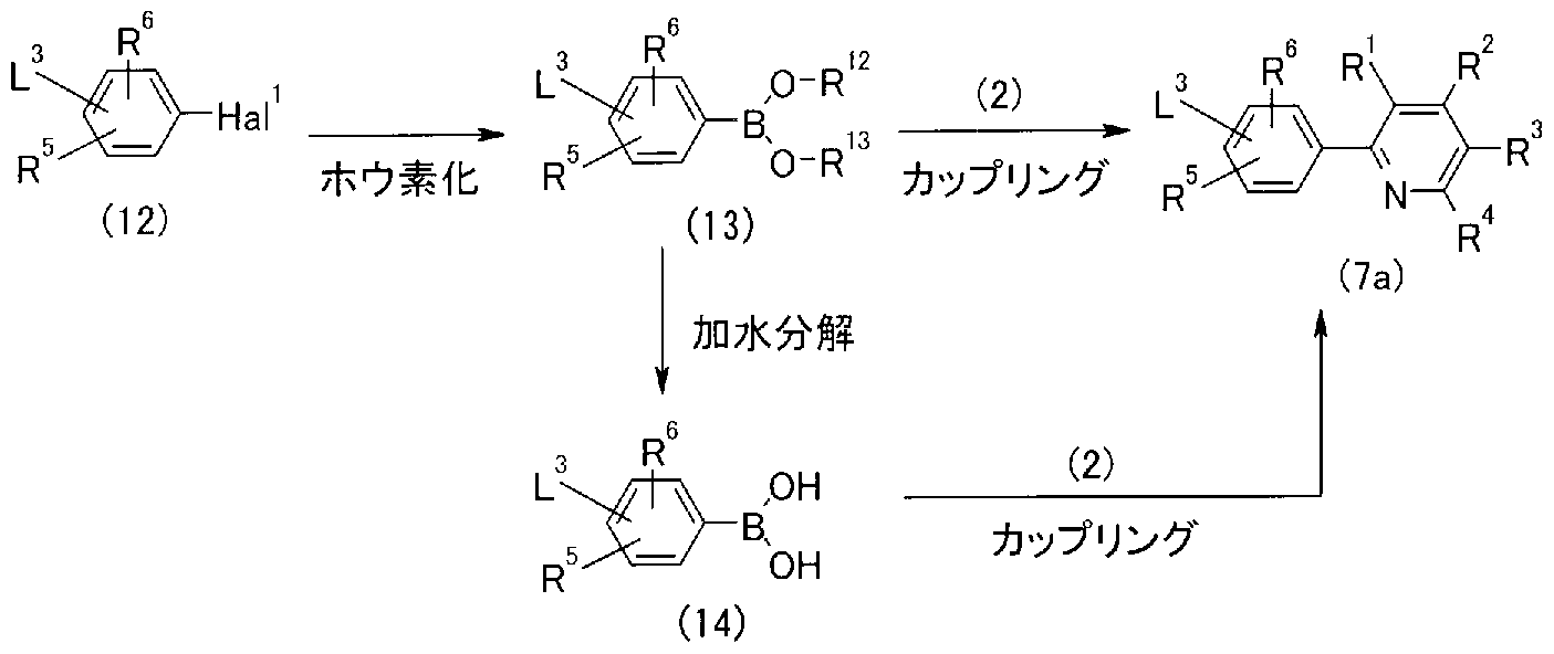 Figure imgf000019_0002