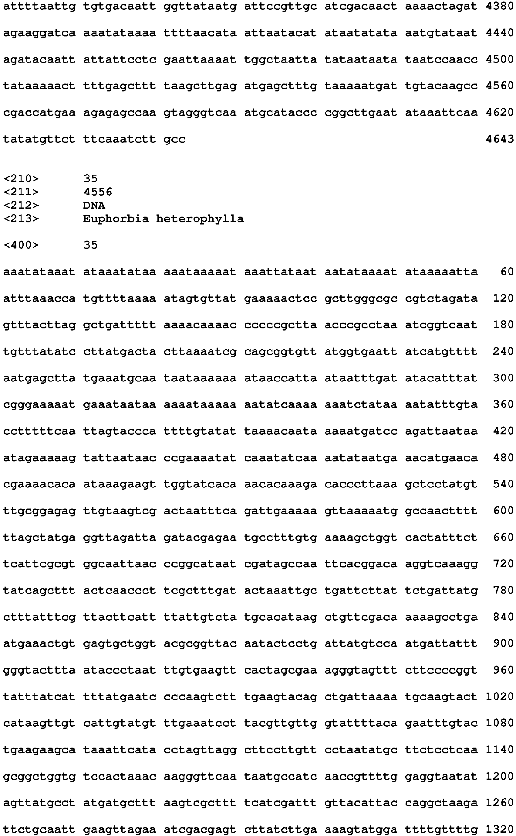 Figure imgb0033