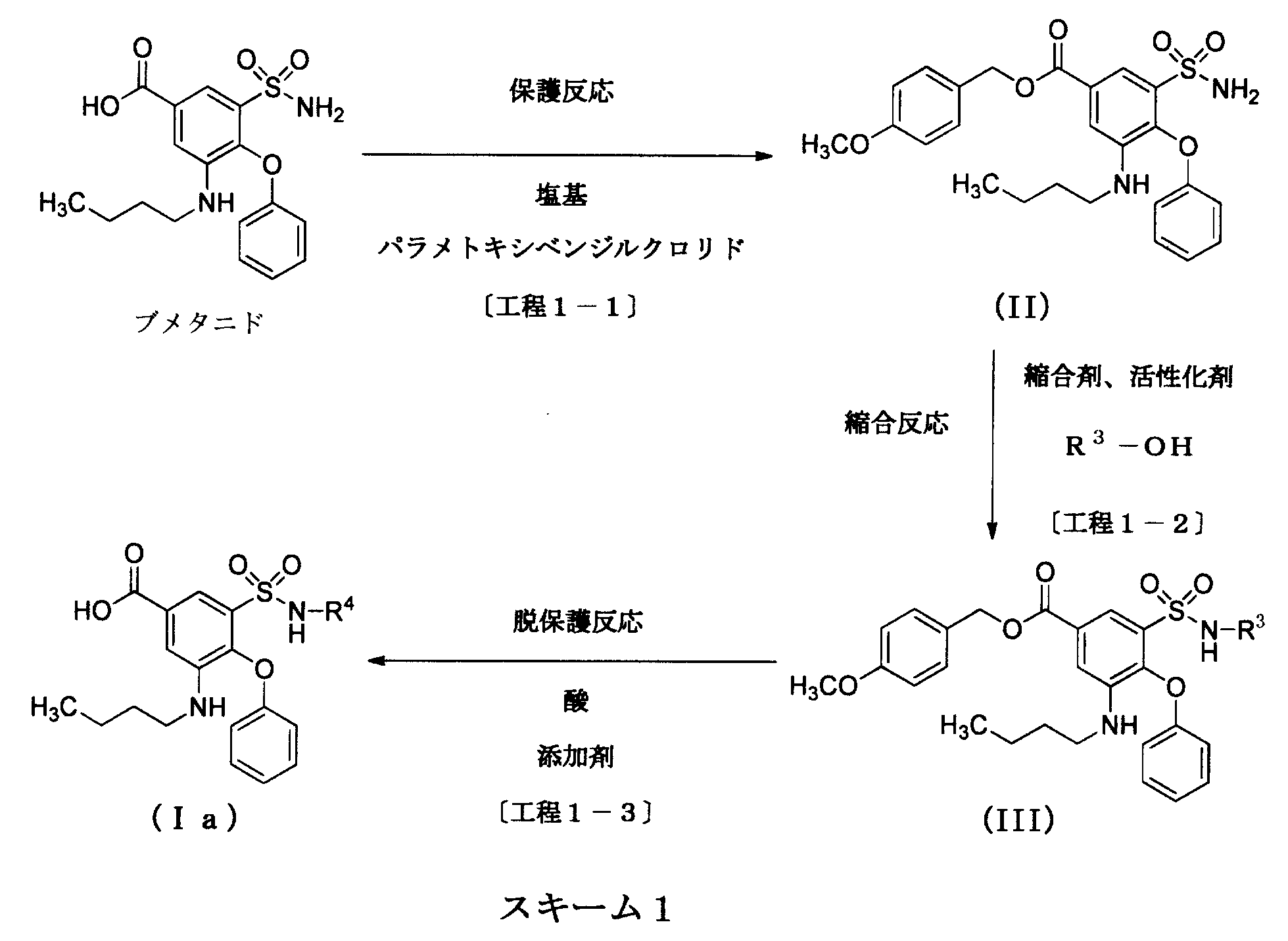 Figure JPOXMLDOC01-appb-C000031