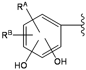 Figure JPOXMLDOC01-appb-C000024