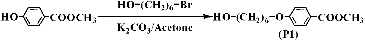 Figure JPOXMLDOC01-appb-C000041