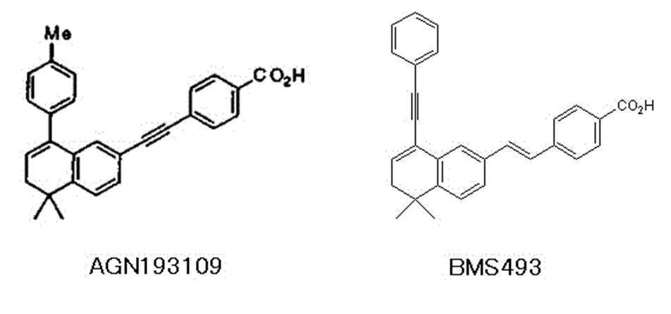 Figure JPOXMLDOC01-appb-C000001