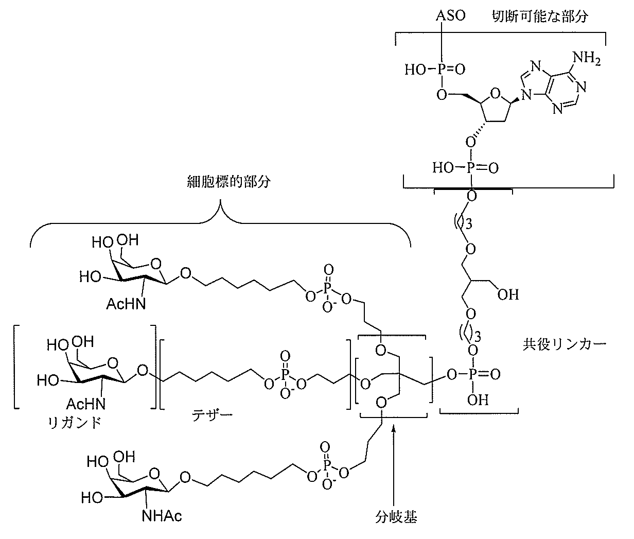 Figure 2022017514000009