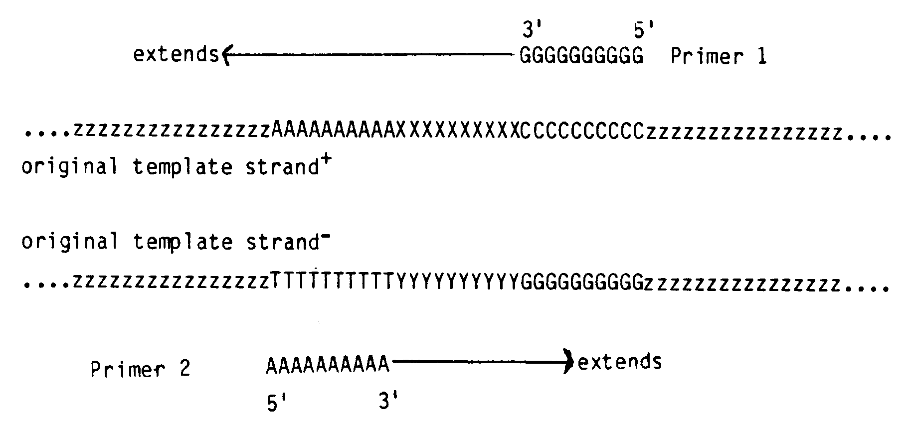 Figure imgb0002