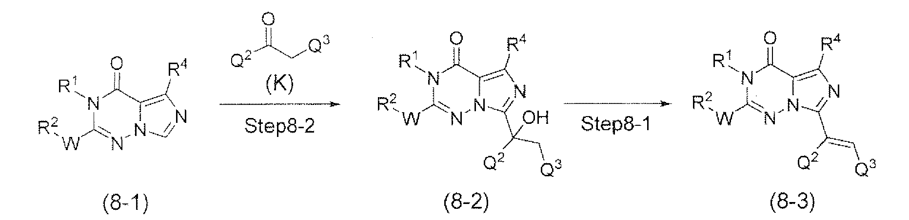 Figure JPOXMLDOC01-appb-C000014