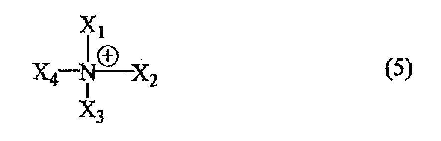 Figure imgb0004