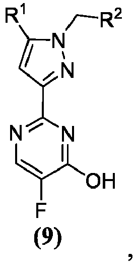 Figure imgb0013