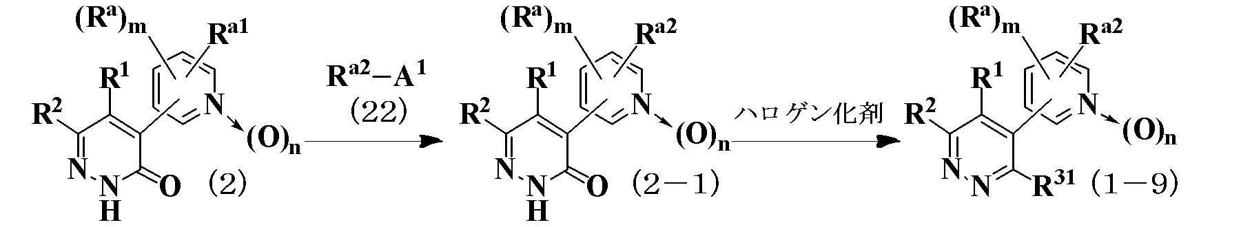 Figure JPOXMLDOC01-appb-C000024