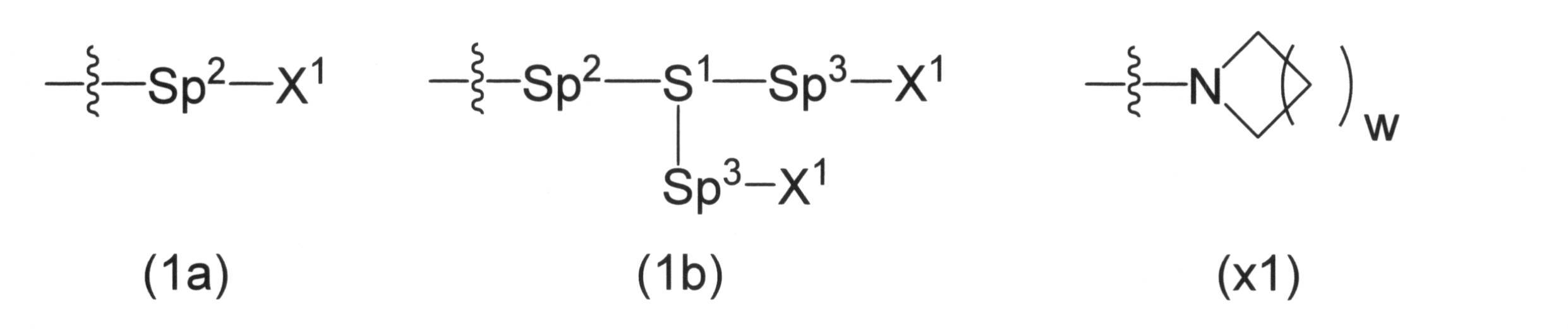 Figure JPOXMLDOC01-appb-C000002