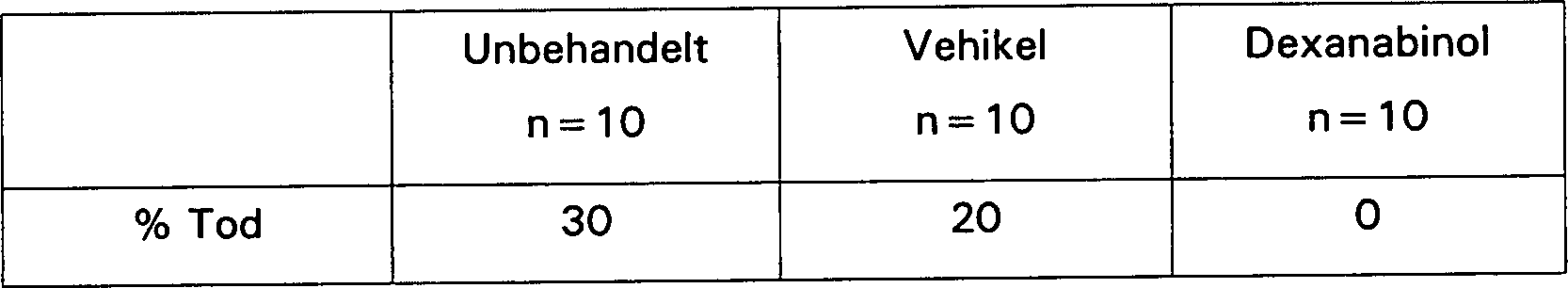 Biegon-Dating-Seiten