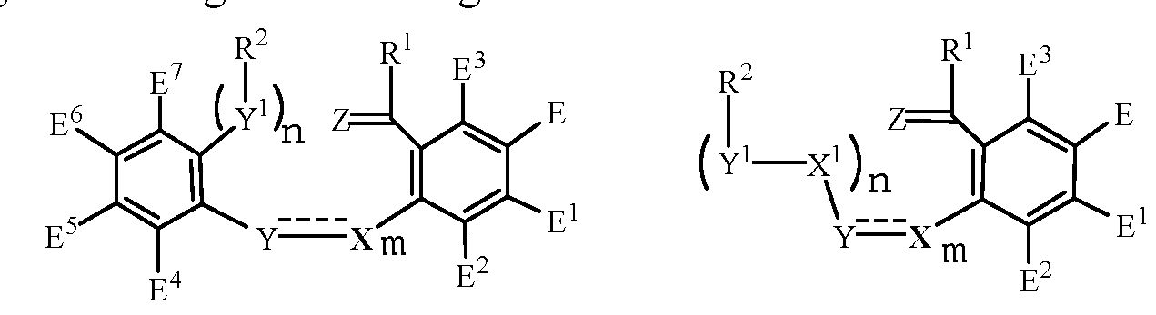 Figure imgf000004_0001