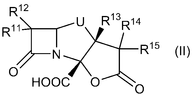 Figure JPOXMLDOC01-appb-C000047