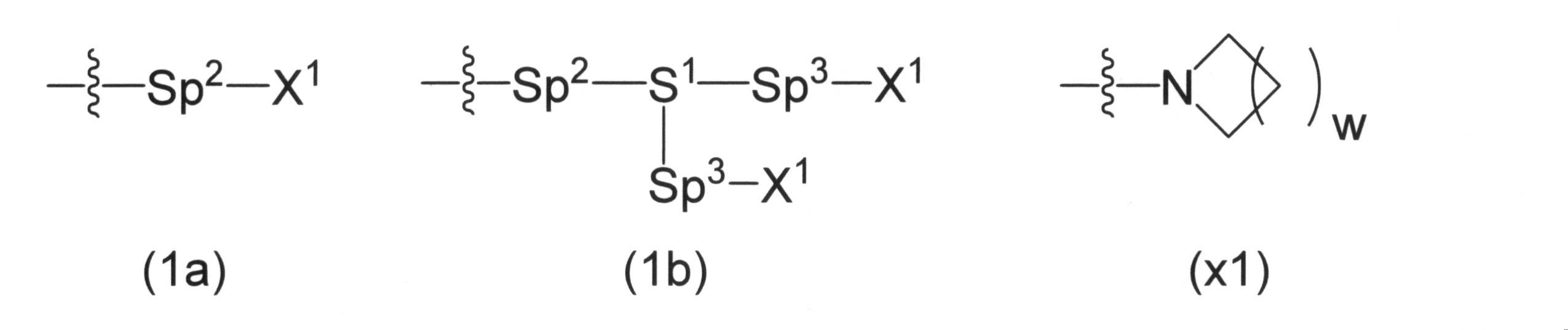 Figure JPOXMLDOC01-appb-C000029