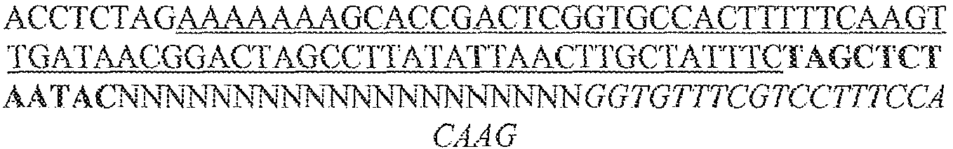 Figure imgb0072